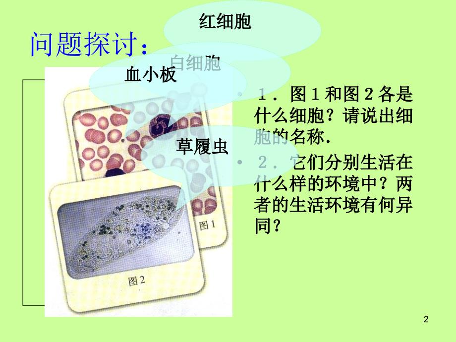 人体内环境的稳态精品课件_第2页