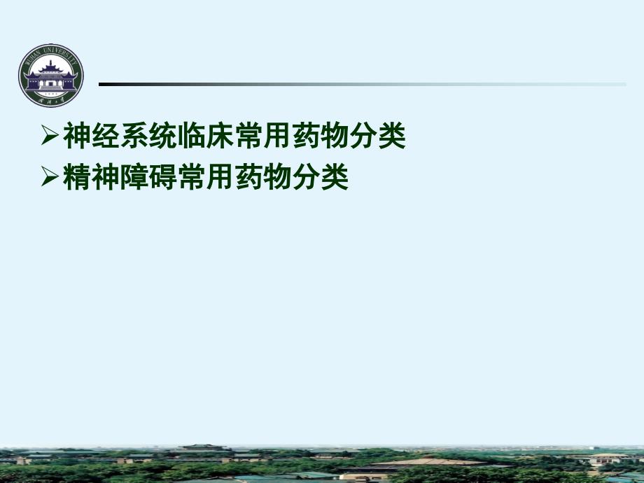 刘忠纯常见神经系统和精神障碍疾病的药物治疗刘忠纯_第2页