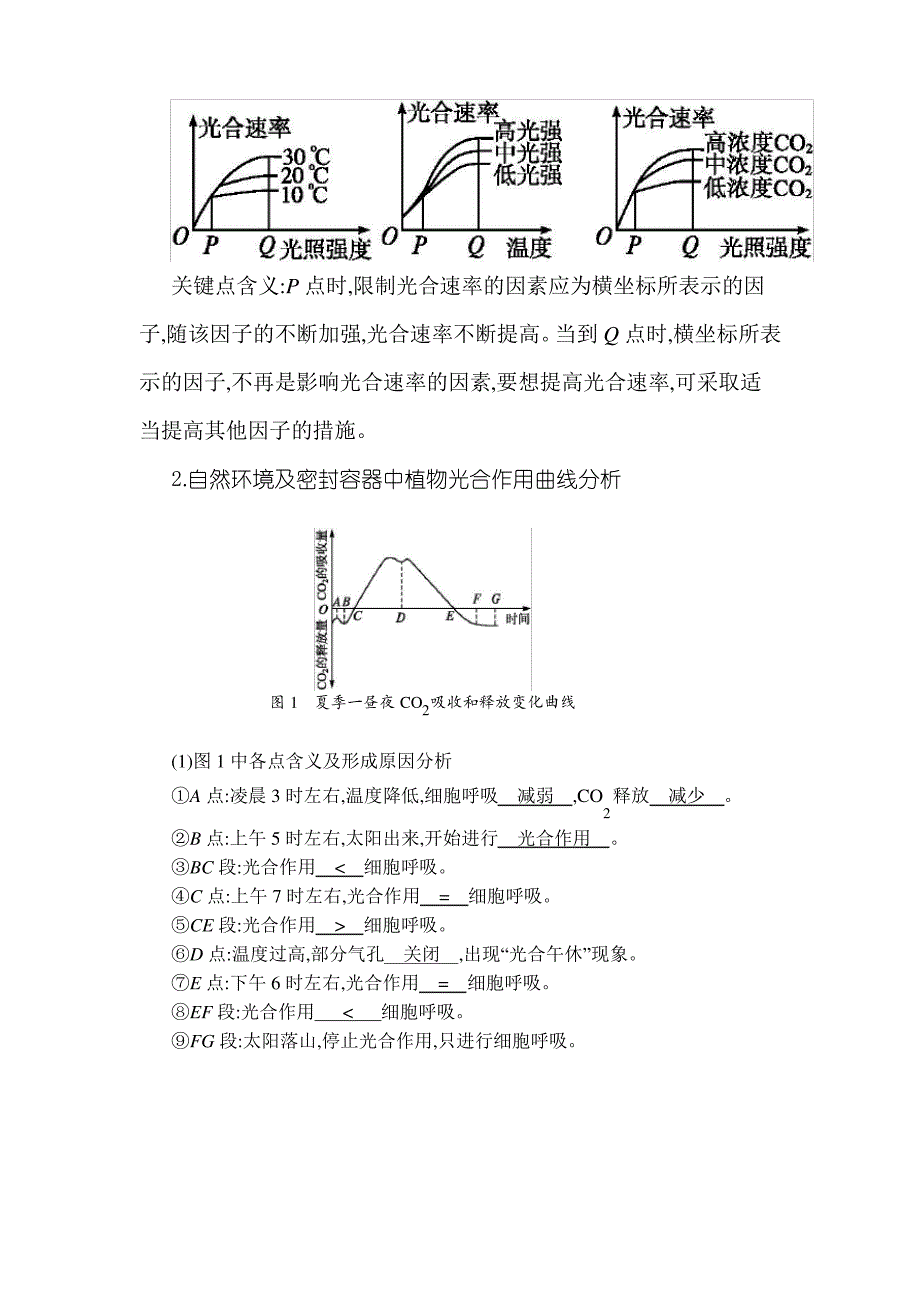 最好的光合作用基础知识点完整版_第4页