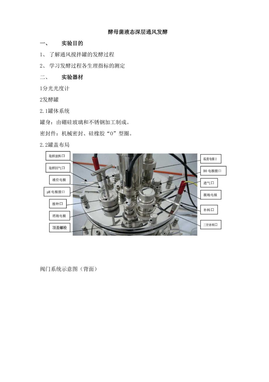 酵母菌液态深层通风发酵_第1页