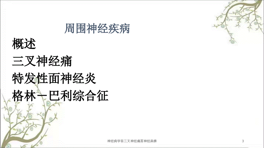 神经病学翁三叉神经痛面神经麻痹_第3页