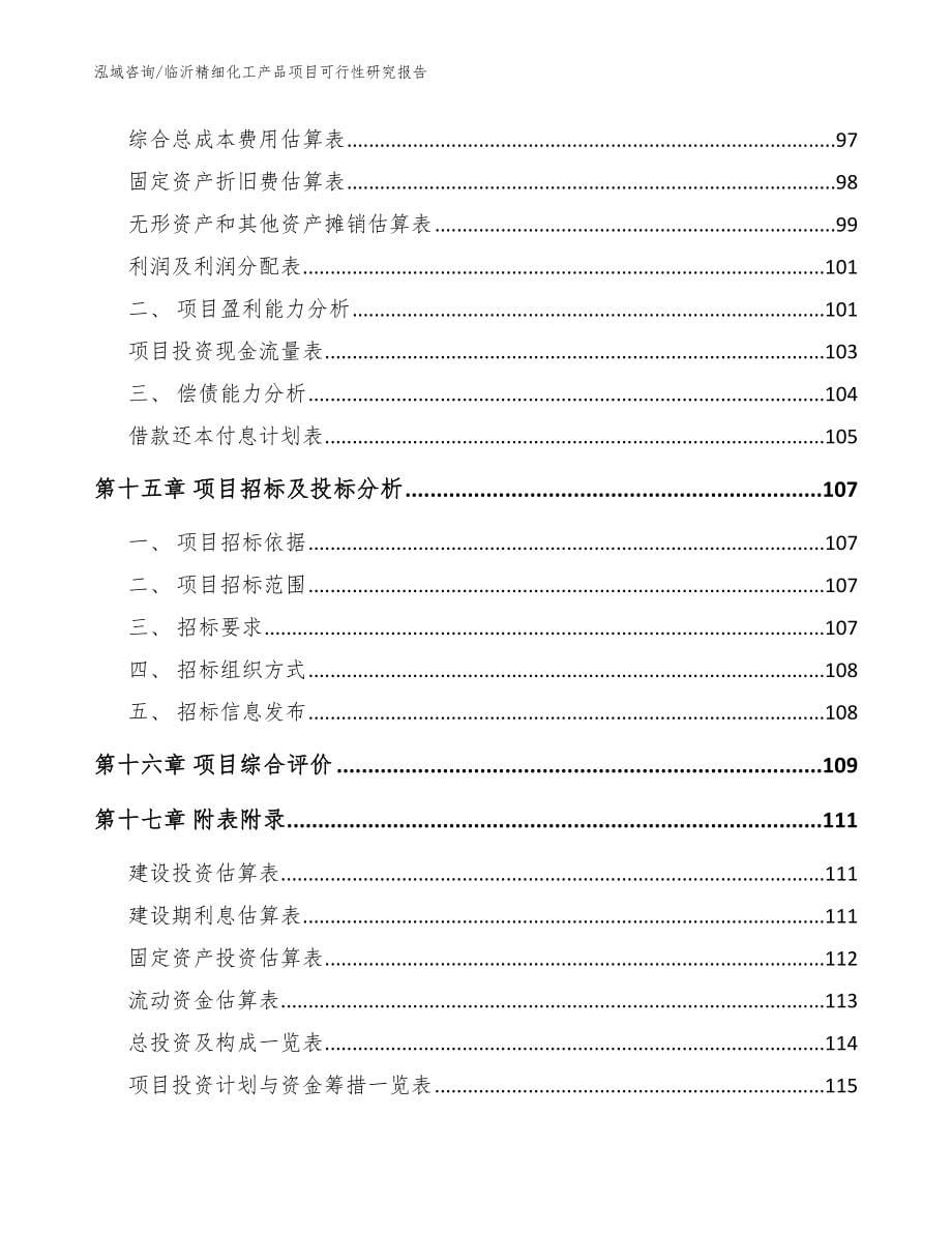 临沂精细化工产品项目可行性研究报告（模板参考）_第5页