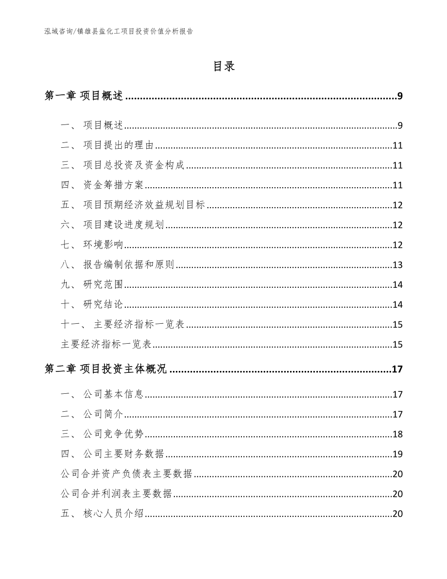 镇雄县盐化工项目投资价值分析报告【模板范本】_第2页