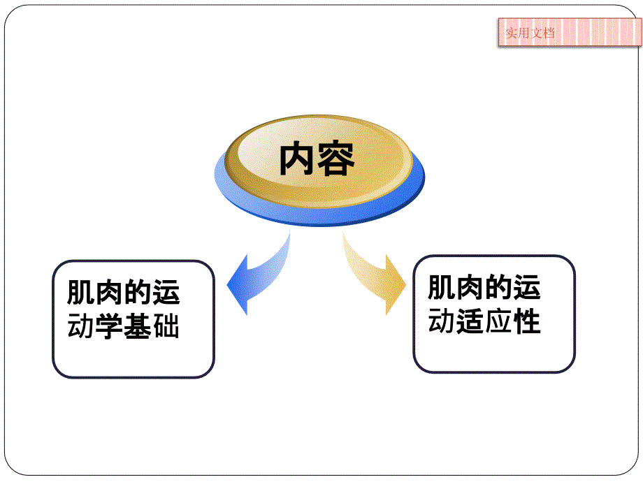 第二章-第二节-肌肉运动学课件_第3页