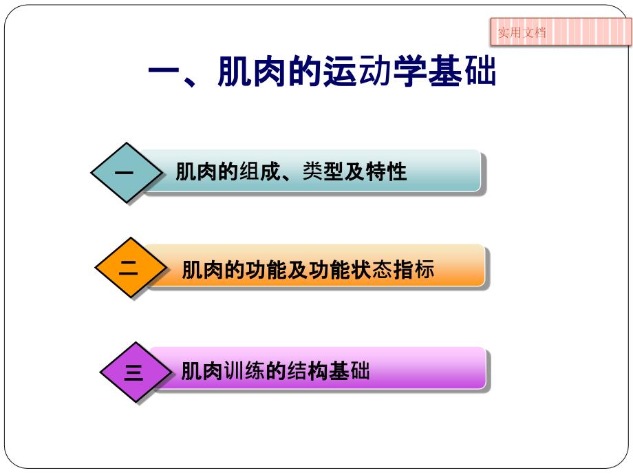 第二章-第二节-肌肉运动学课件_第4页