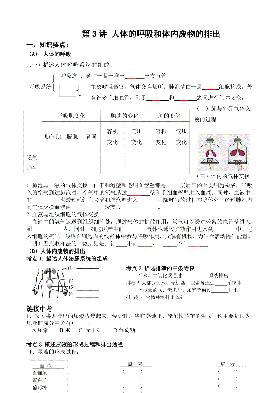 初二生物冲A班第7讲人体的呼吸和体内废物的排出_第1页