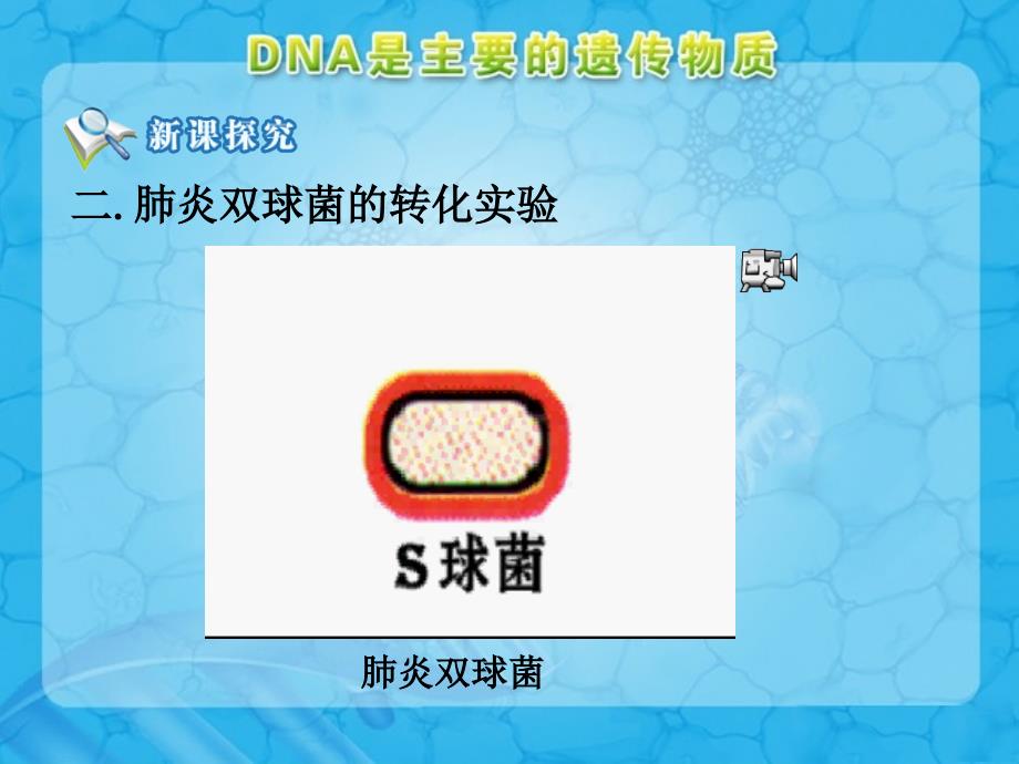 DNA是主要的遗传物质参考课件1_第5页