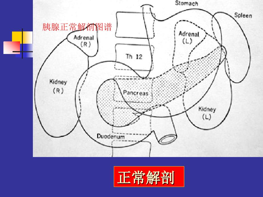 胰腺CTPPT课件PPT文档_第1页