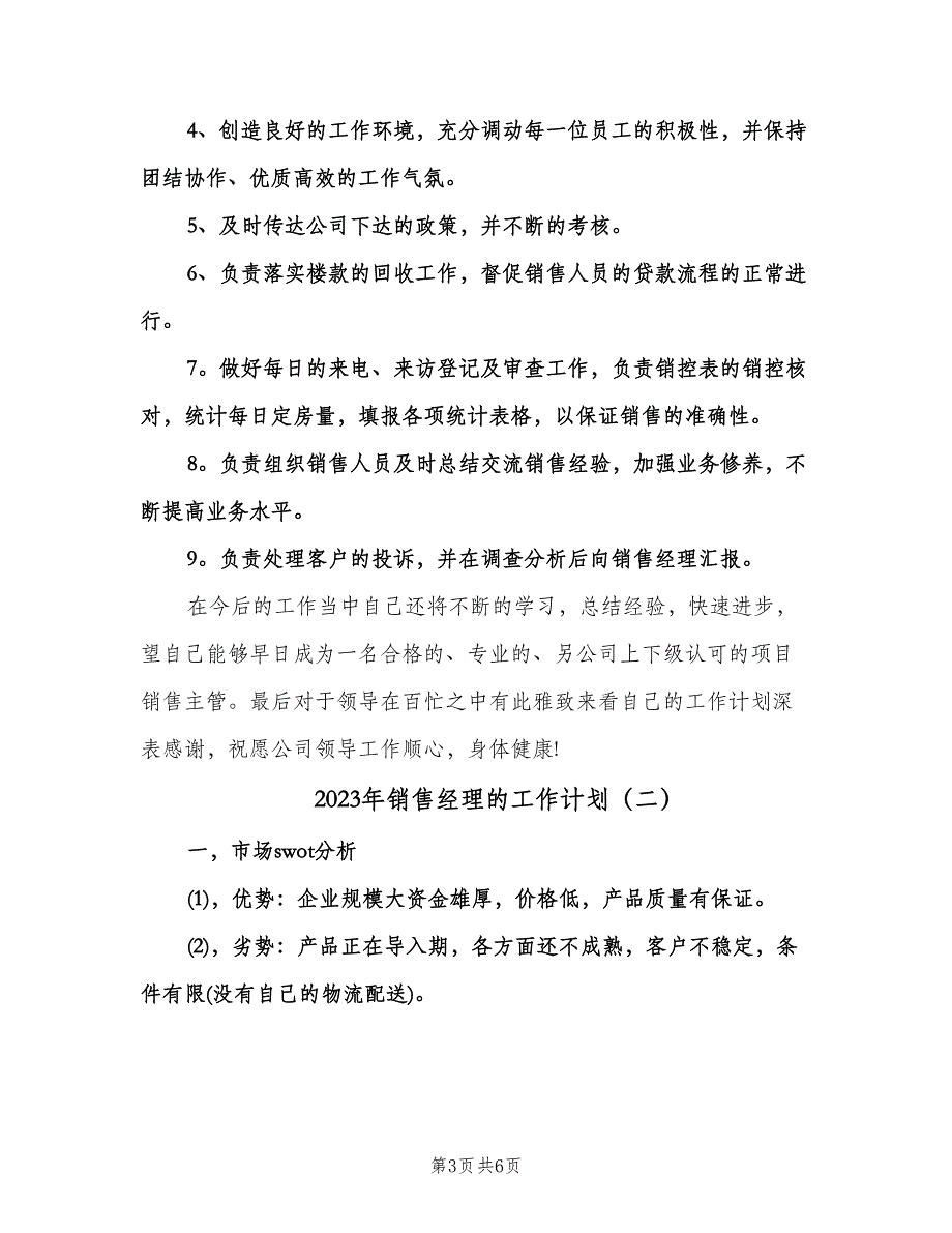 2023年销售经理的工作计划（二篇）.doc_第3页