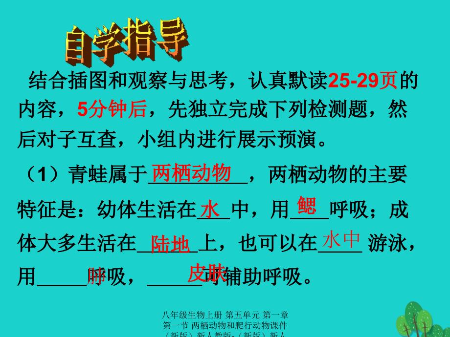 最新八年级生物上册第五单元第一章第一节两栖动物和爬行动物课件新版新人教版新版新人教级上册生物课件_第4页