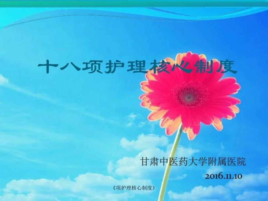 项护理核心制度课件_第1页