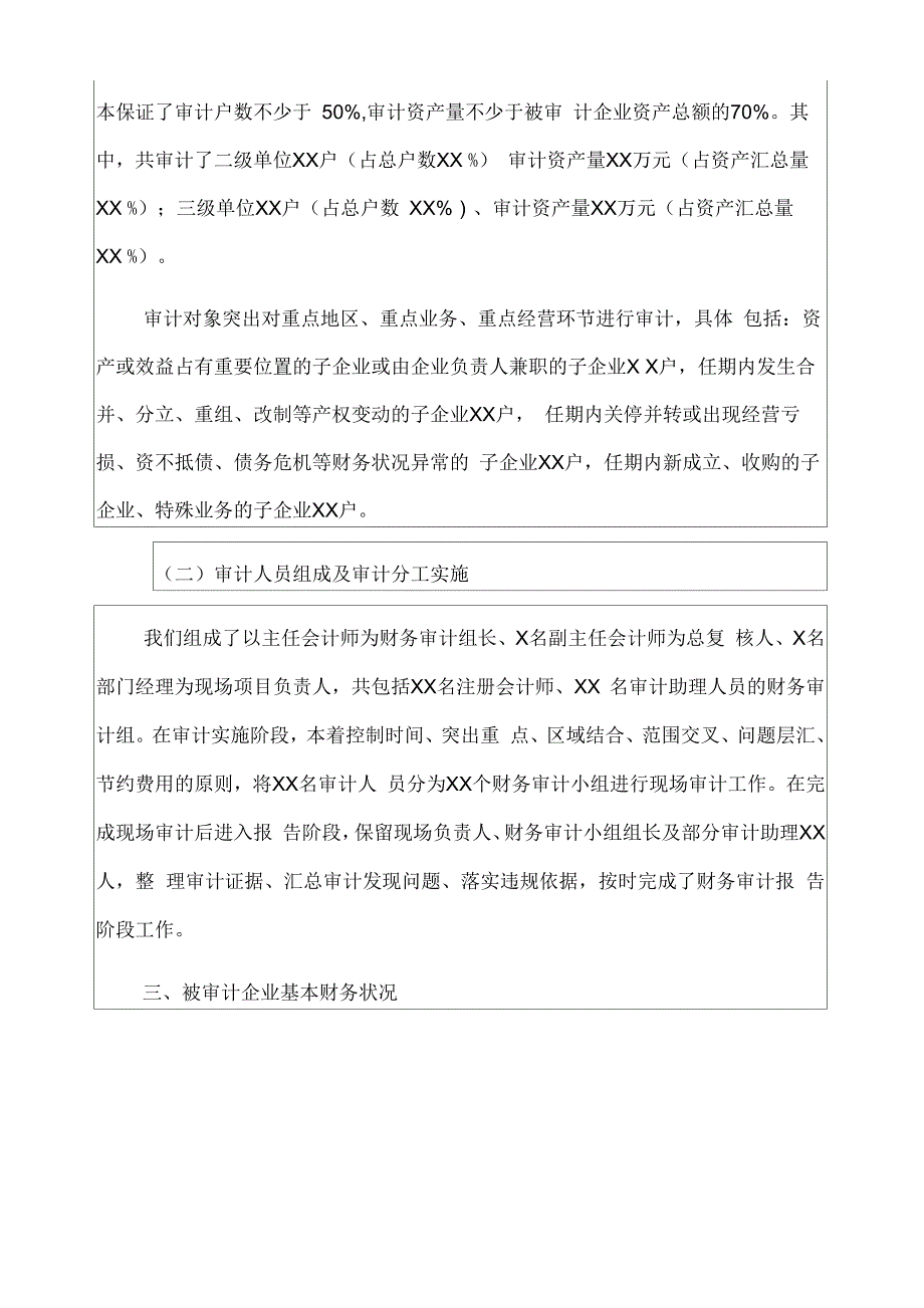 公司财务审计报告_第3页