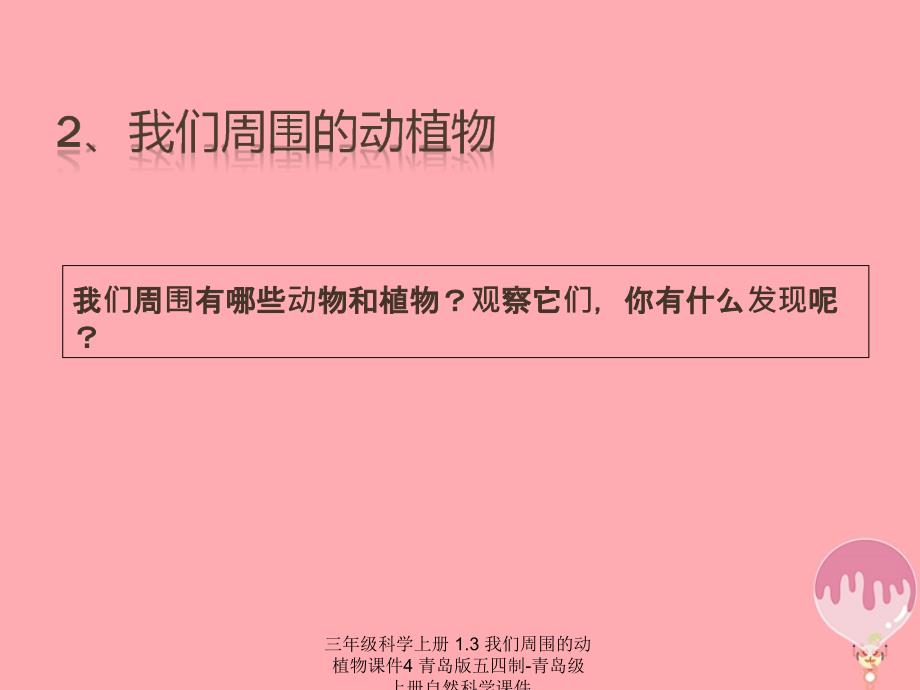 最新三年级科学上册1.3我们周围的动植物课件4_第1页