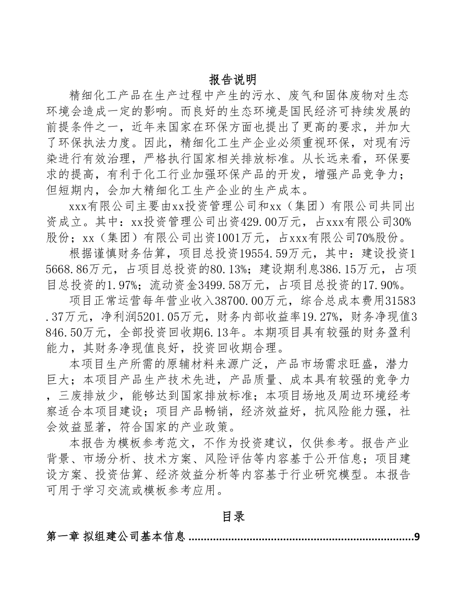 张家港关于成立醚化剂公司可行性研究报告(DOC 78页)_第2页
