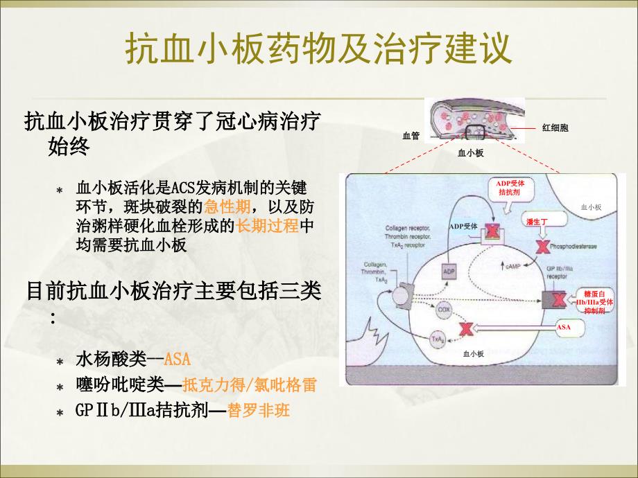 抗血小板治疗与消化道出血对策_第4页