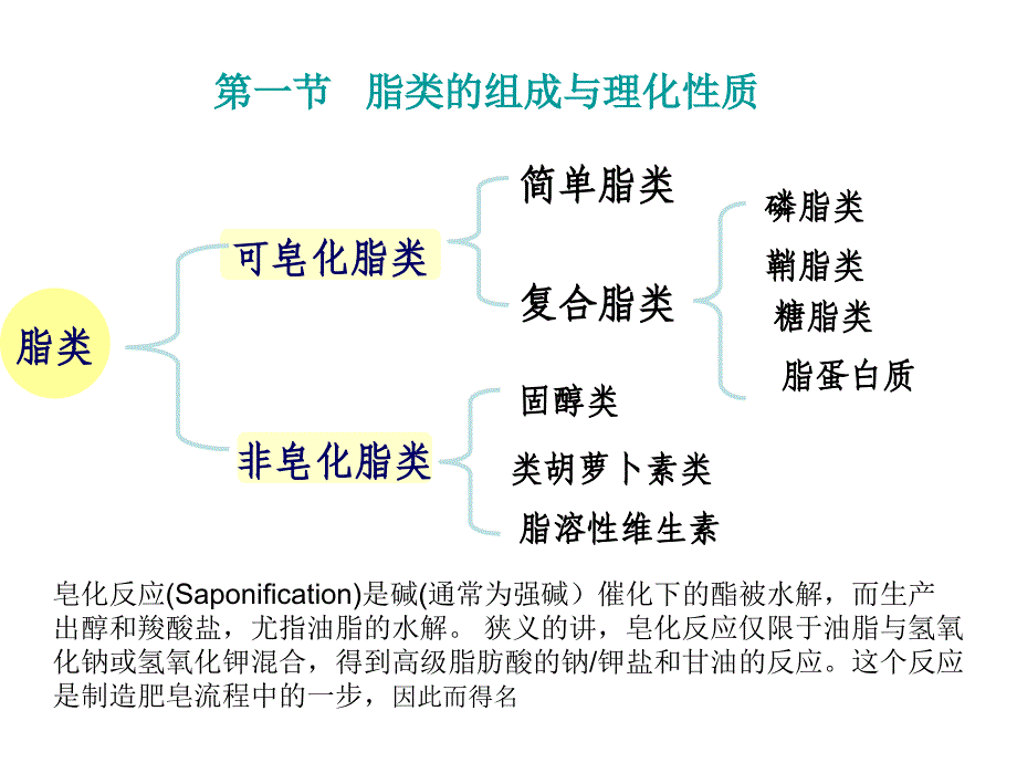 第一部分饲料营养成分与作用第五章脂肪与动物营养_第2页