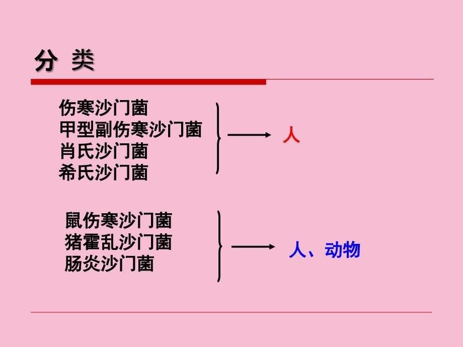 第十六章沙门菌ppt课件_第5页