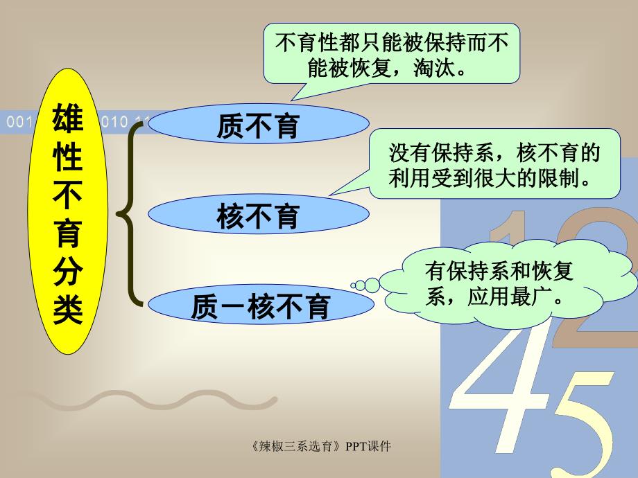 辣椒三系选育课件_第3页