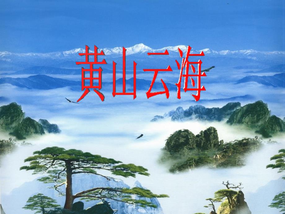 《黄山云海》教学课件_第1页