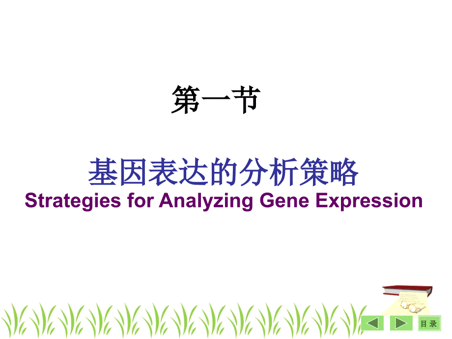 第26章基因表达及功能分析基本策略袁野_第2页