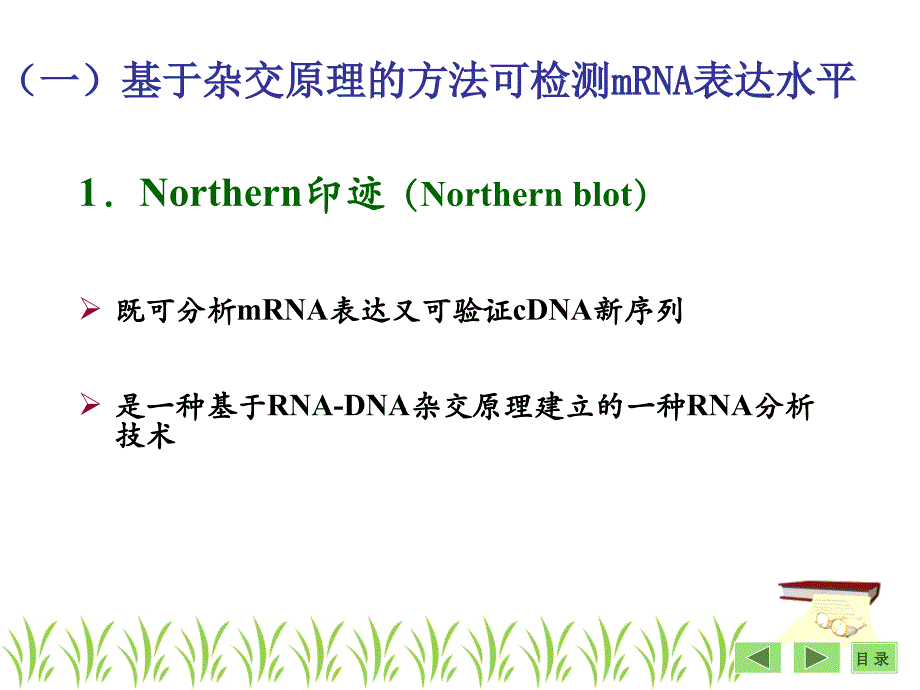 第26章基因表达及功能分析基本策略袁野_第4页