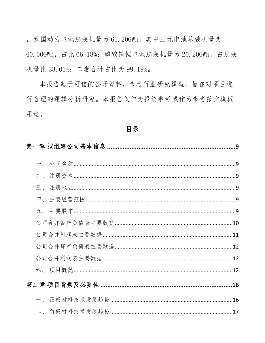 安徽关于成立锂电材料公司可行性研究报告_第3页