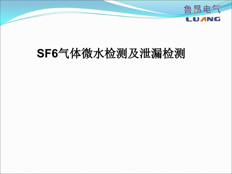 SF6气体微水检测及泄漏检测_第1页