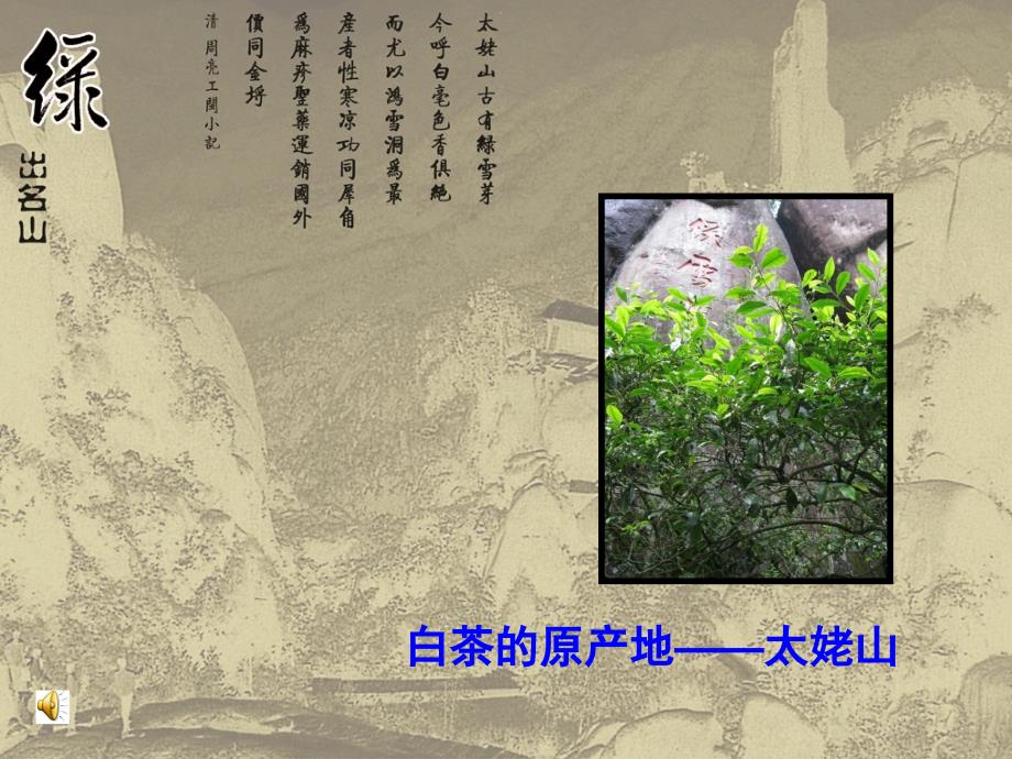 茶叶宣传资料PPT绿雪芽白茶_第1页