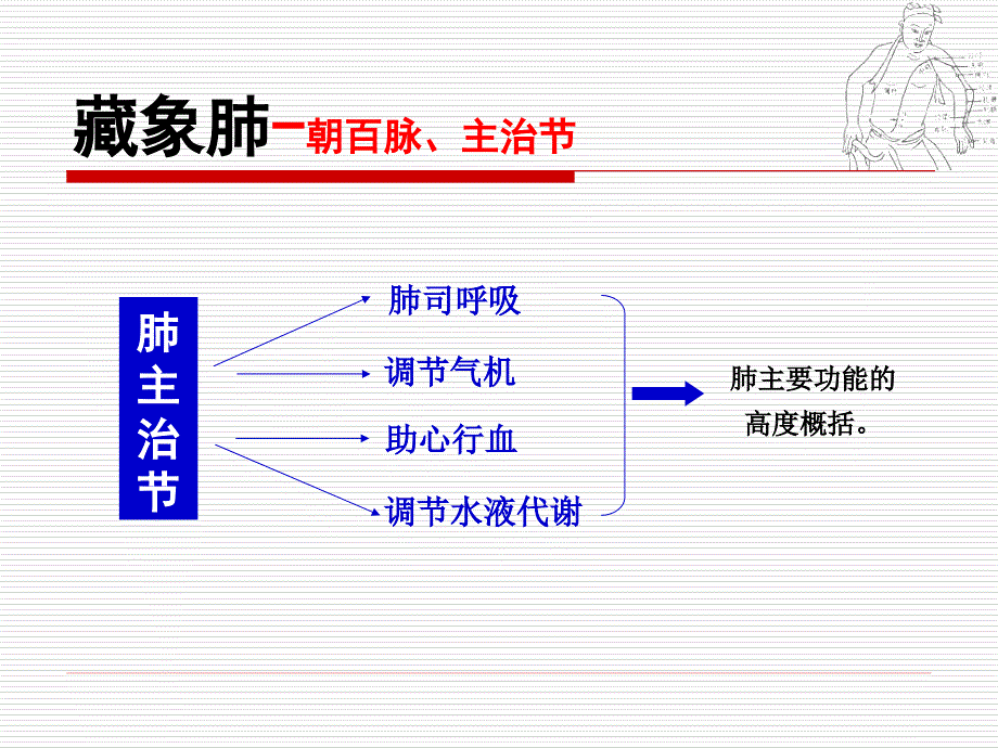 肺朝百脉广东中医药大学中医学.ppt_第2页