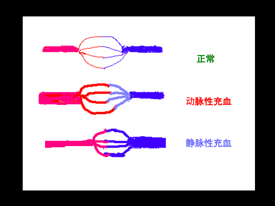 现代基础医学概论第十四章_第3页