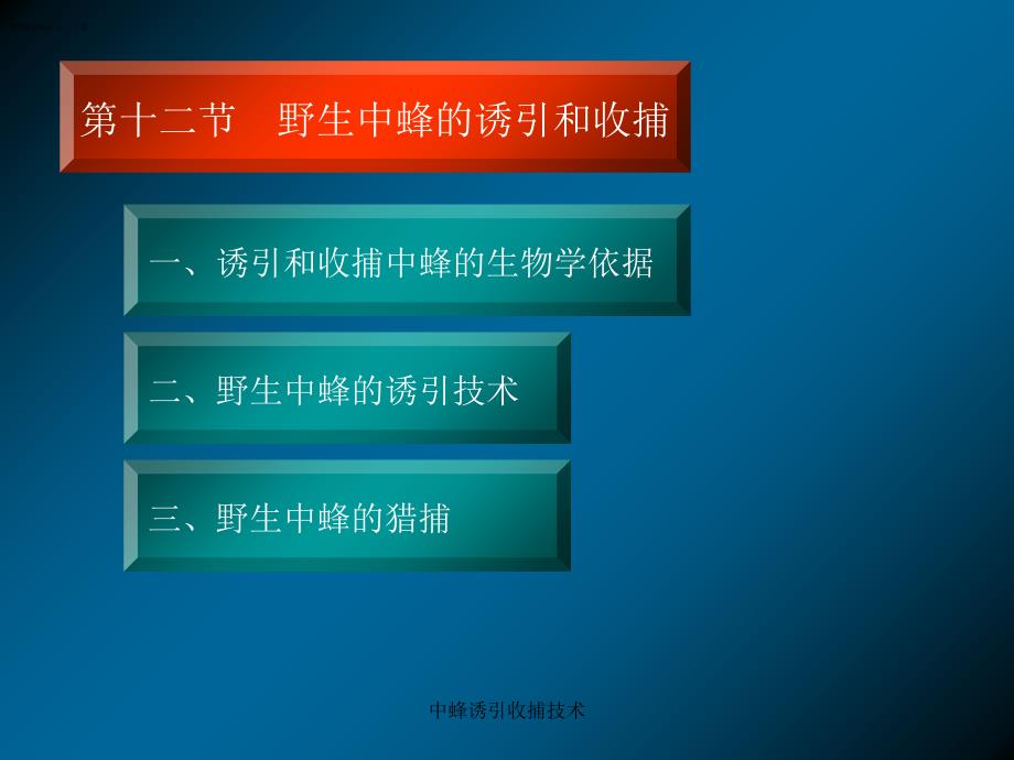 中蜂诱引收捕技术课件_第1页