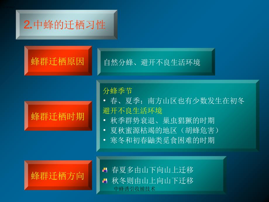 中蜂诱引收捕技术课件_第4页