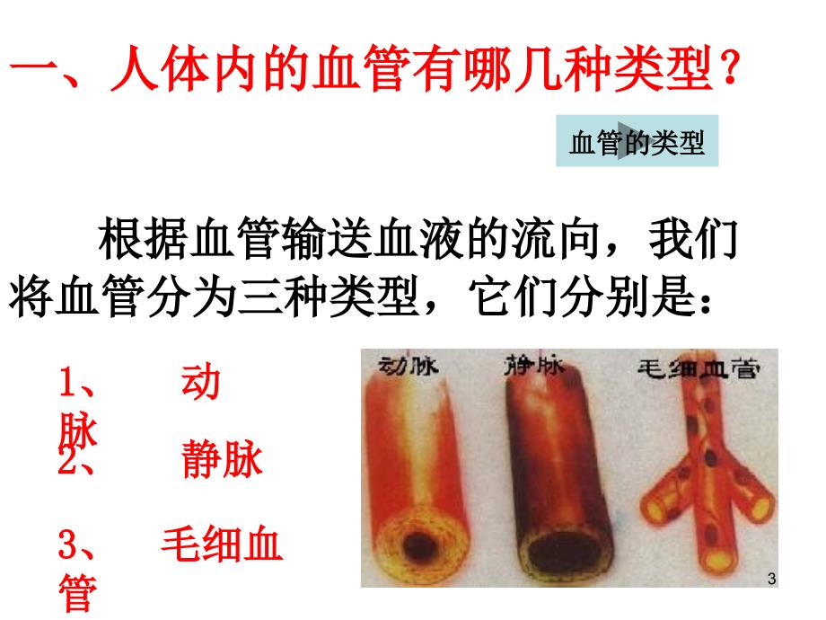 血流的管道血管_第3页