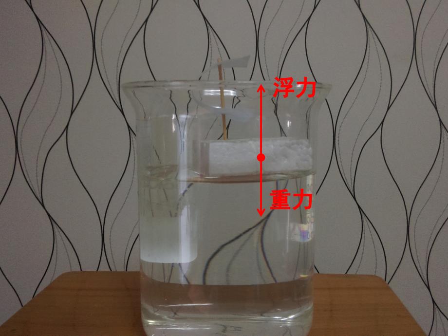 五年级科学上册《浮力》_第4页