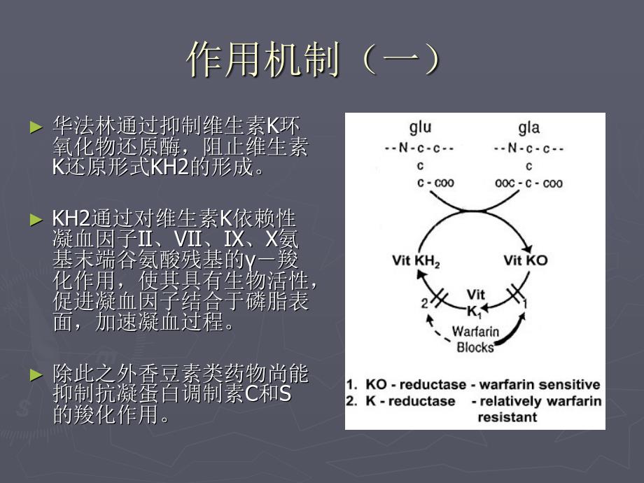 华法林治疗指南课件.ppt_第3页