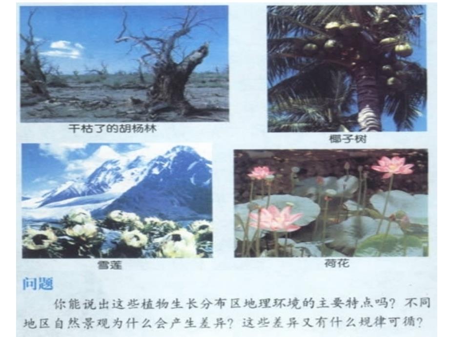 鲁教版高中地理必修一课件地理环境的差异性.ppt_第2页