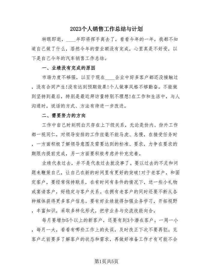 2023个人销售工作总结与计划(2篇).doc