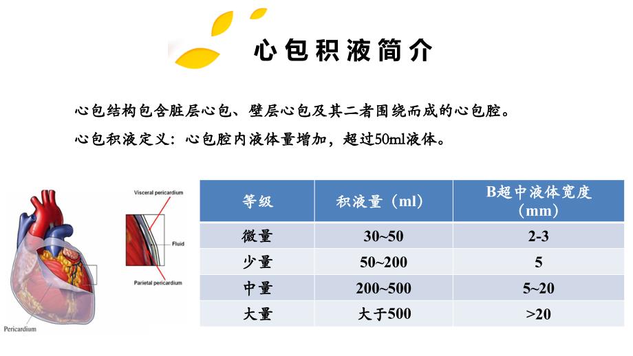 心包积液课件_第4页