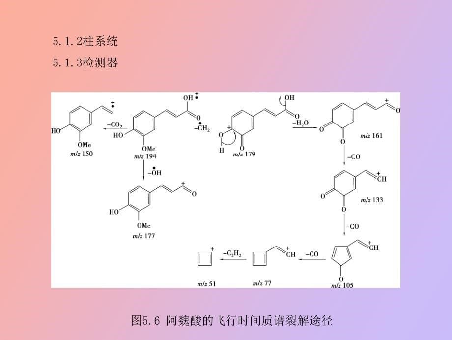 色谱分析法第五章气相色谱辅助技术_第5页