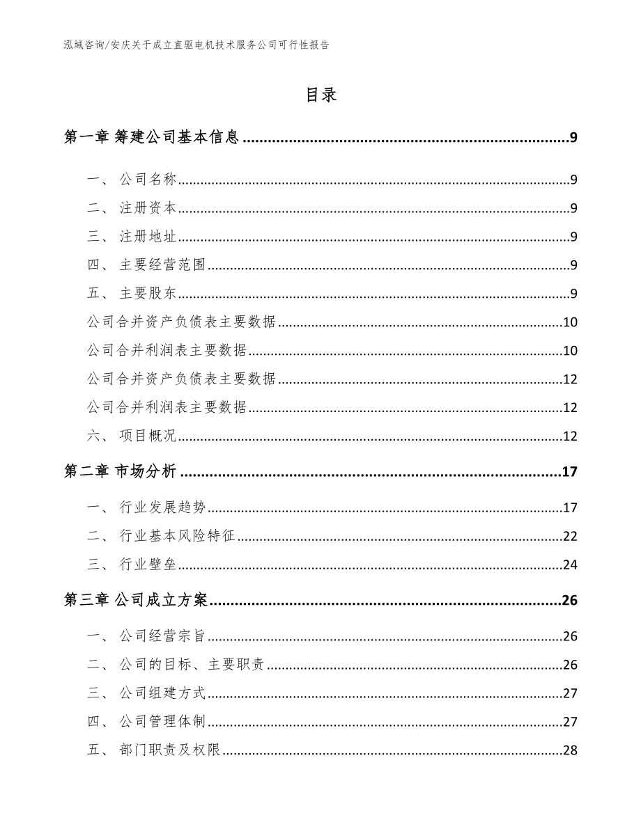 安庆关于成立直驱电机技术服务公司可行性报告（范文模板）_第2页