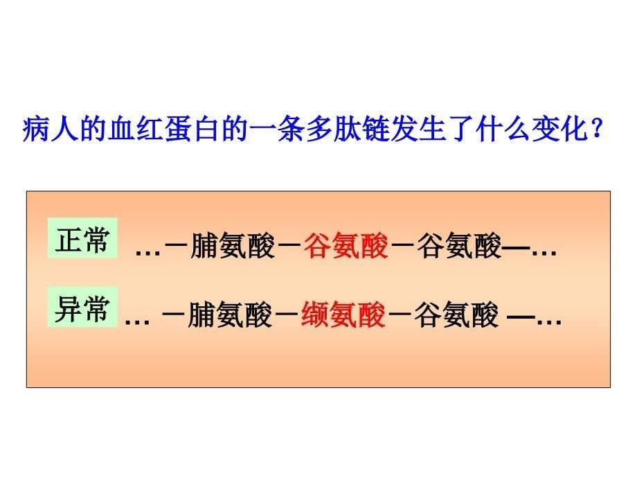 51基因突变和基因重组PPT课件_第5页