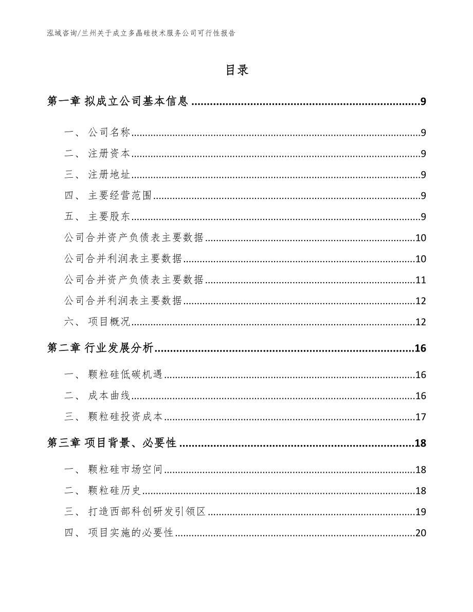 兰州关于成立多晶硅技术服务公司可行性报告【参考模板】_第2页