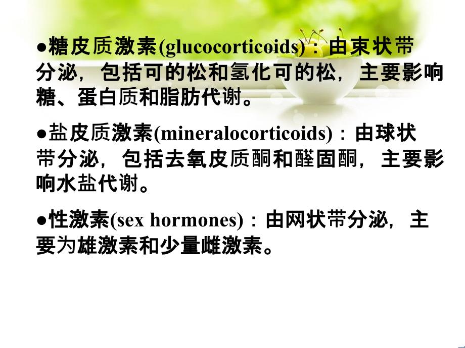 内分泌系统药理_第3页