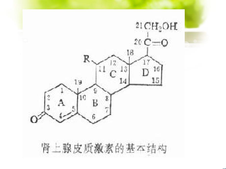 内分泌系统药理_第4页