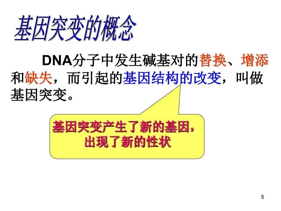 生物5.1基因突变和基因重组_第5页