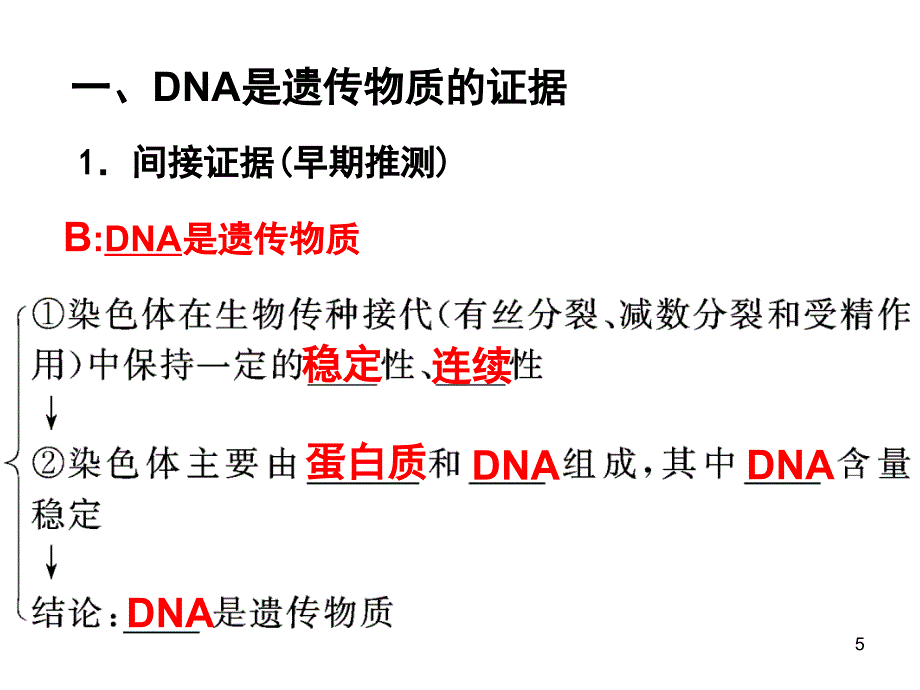 DNA是主要的遗传物质高三复习课件_第3页