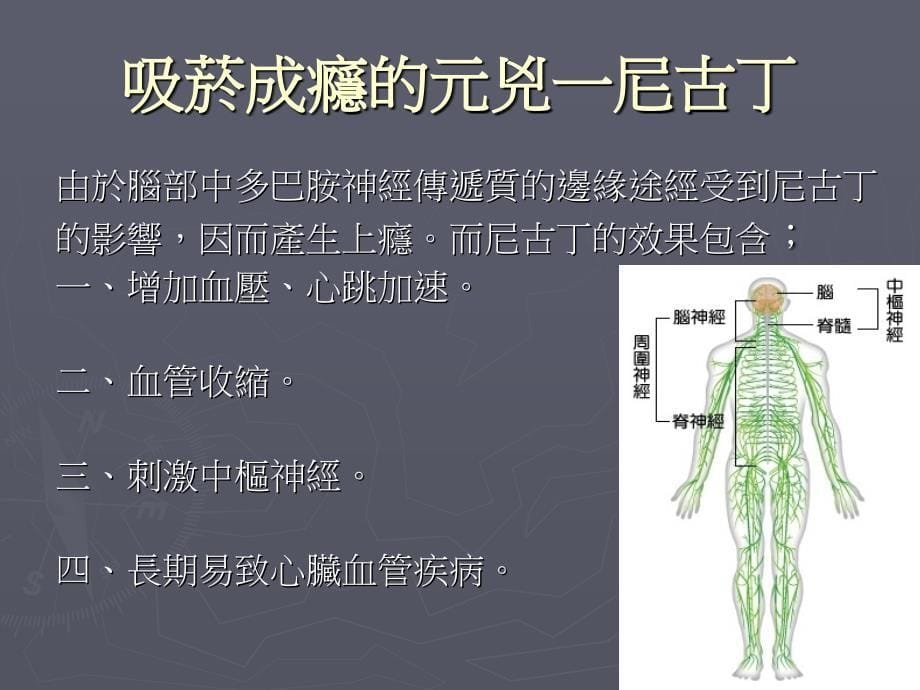 香菸酒槟榔的危害_第5页