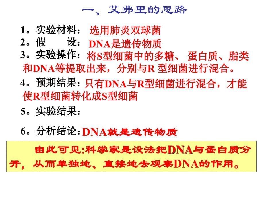 第3章第1节DNA是主要的遗传物质2_第5页