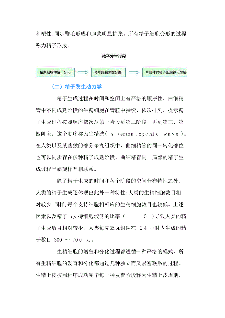 精子发生及其调控机理_第4页