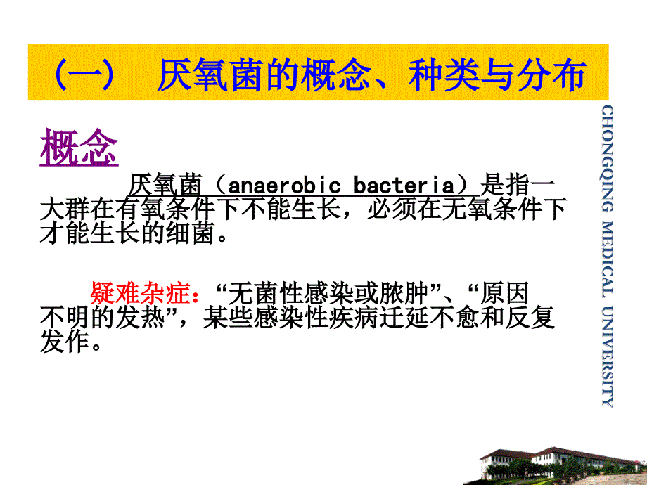 临床微生物学检验：13-厌氧菌_第4页